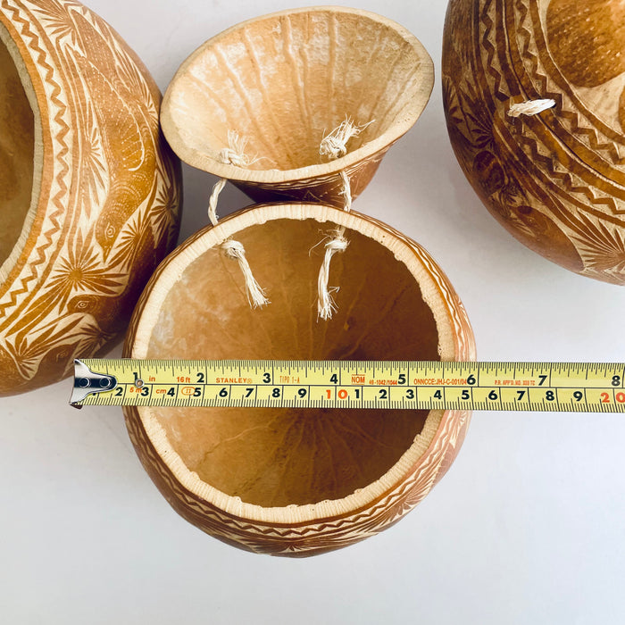 Natural Carved Gourd Tortillero